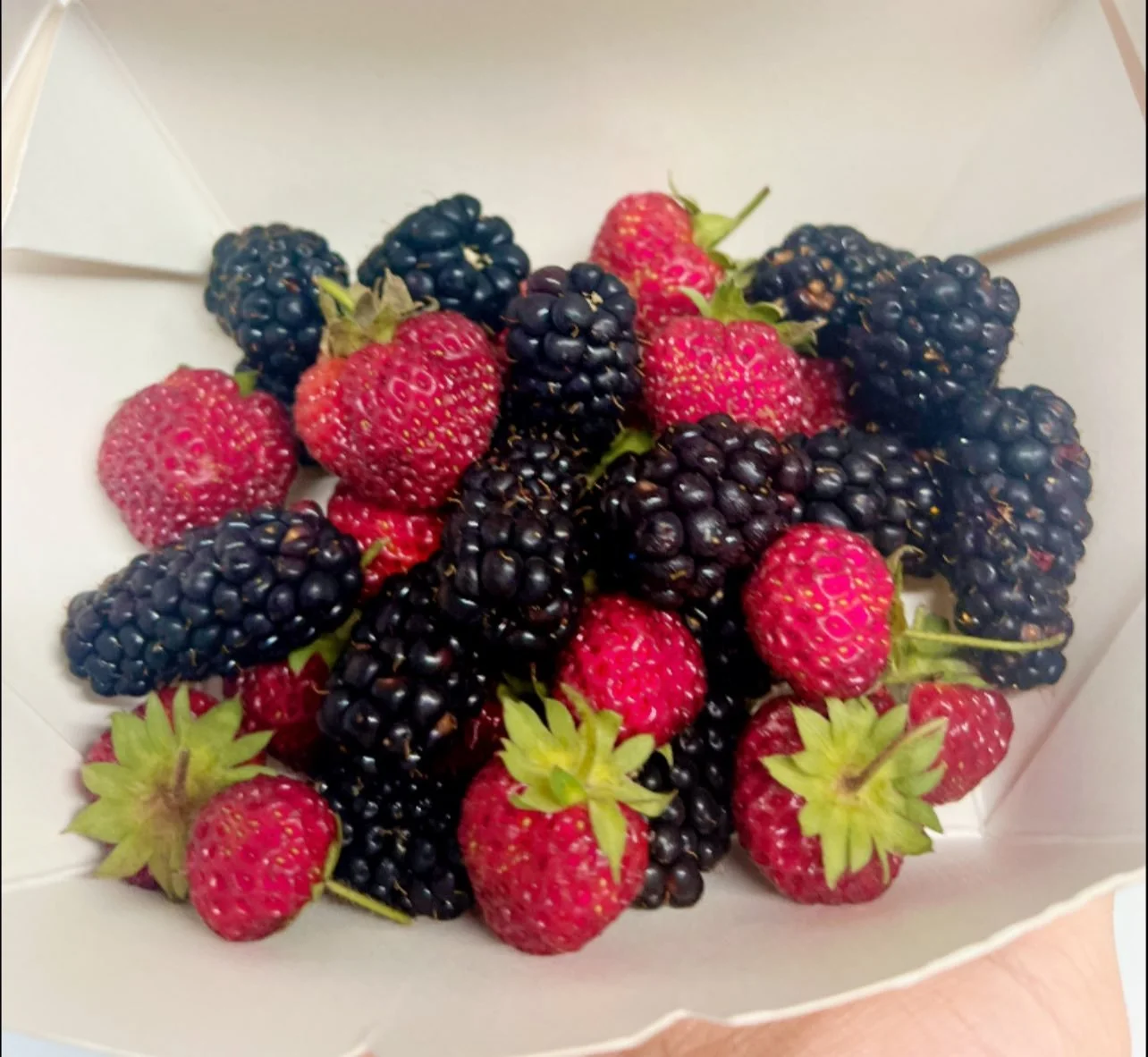 Produce Pack