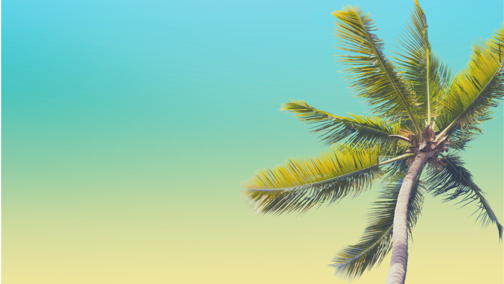 Coco Hut Thai & Asian Food Food Trucks & Takeaways Wanaka