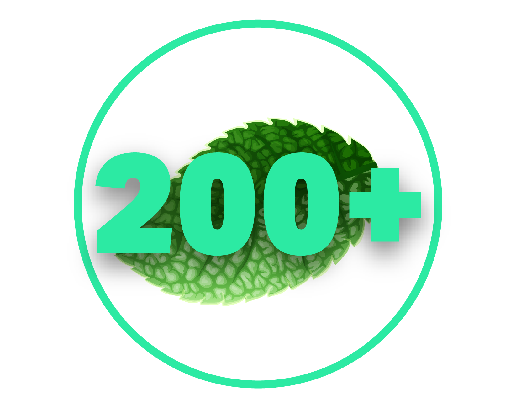 Community Commitment — Mint Eco Car Wash