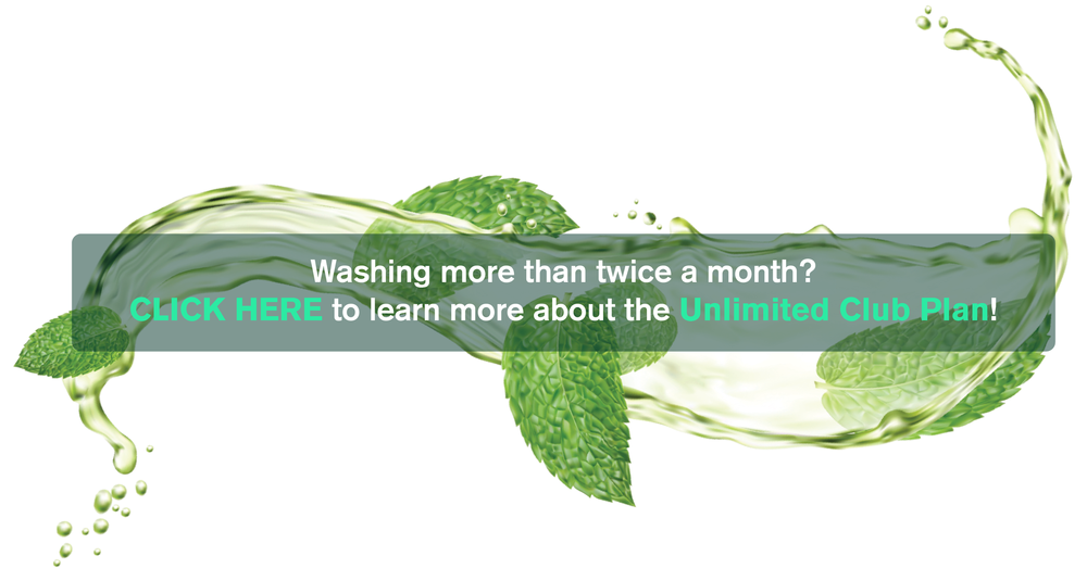 Mint Eco Car Wash Jupiter Reviews Mint Eco Car Wash and Detail Center Jupiter — Mint Eco Car Wash and