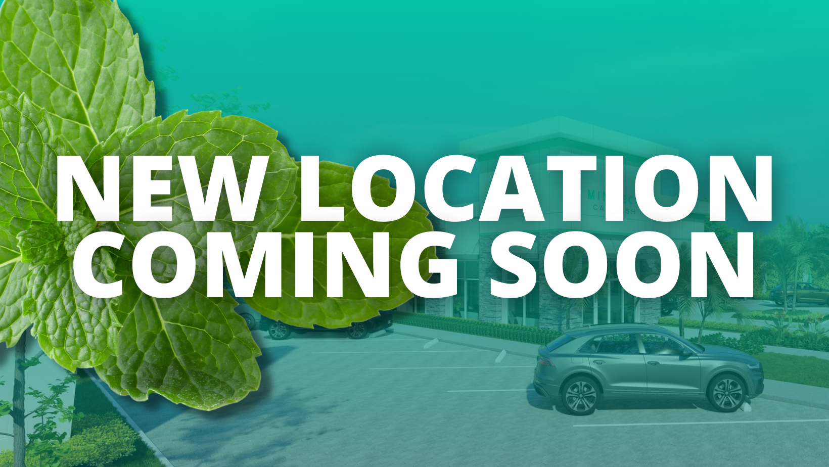 Mint Eco Car Wash and Detail Center Locations — Mint Eco Car Wash and