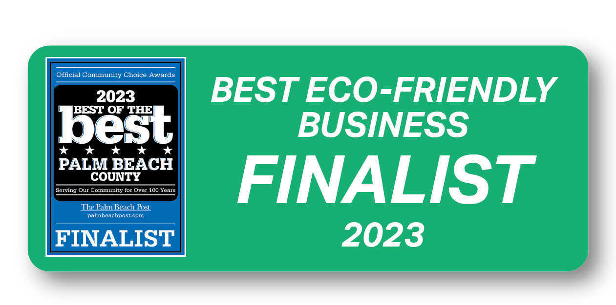 Mint Eco Car Wash The Best Car Wash and Auto Detailing Center in Palm