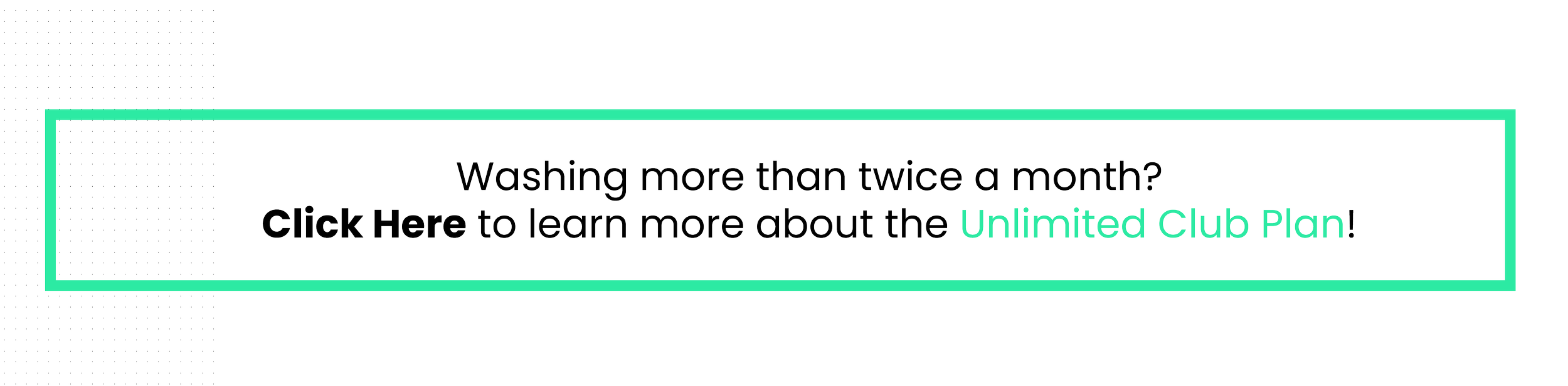 Wash Menu — Mint Eco Car Wash and Detail Center