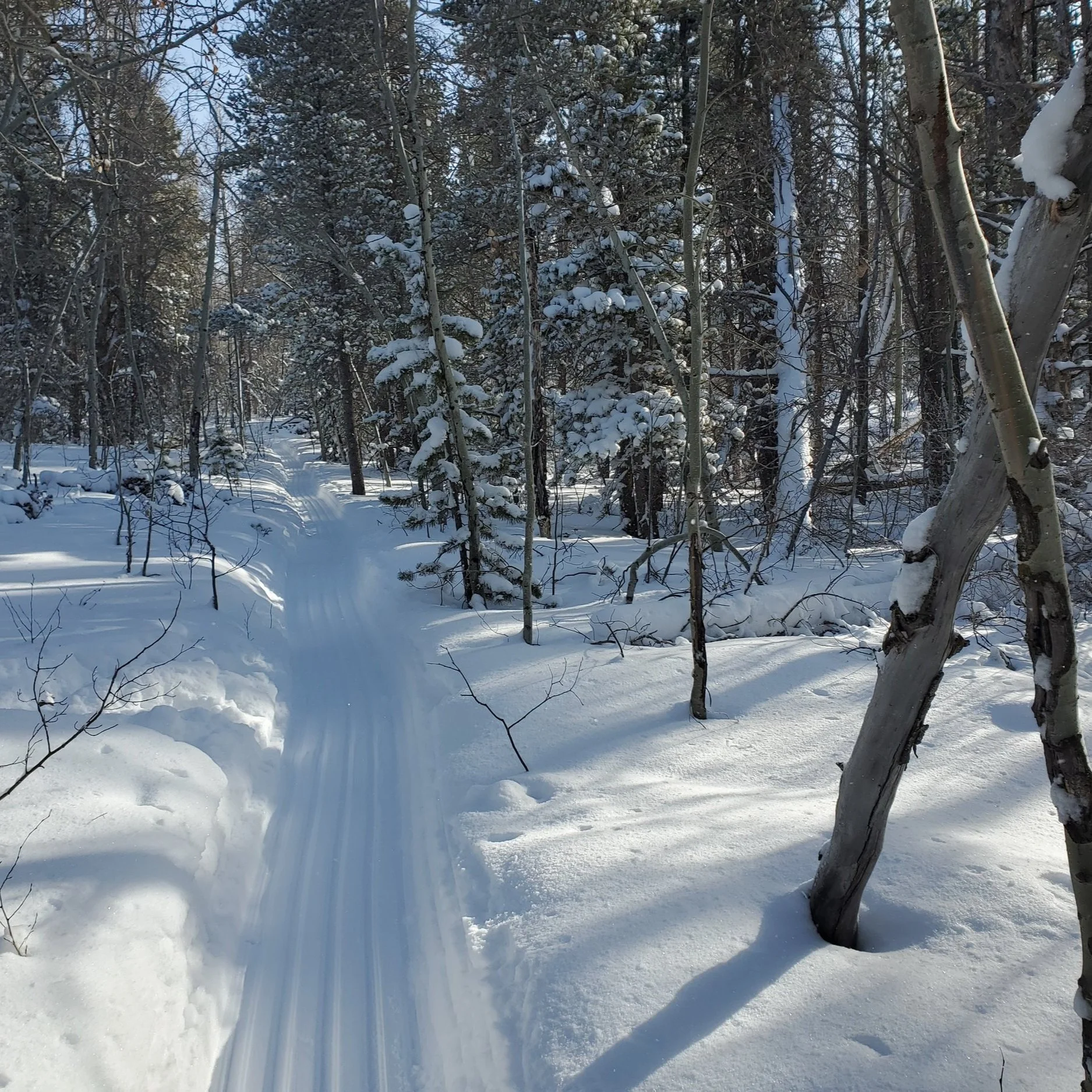 Winter Trail Grooming — Laramie BikeNet