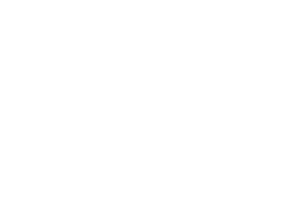 amex.png