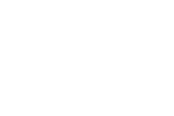 ngv.png
