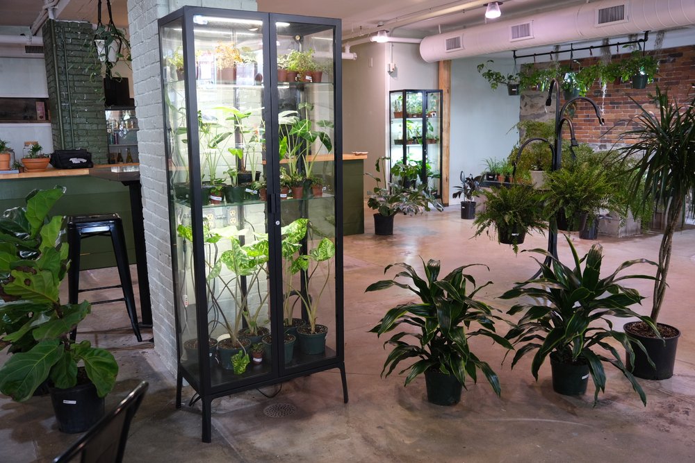 to Build an Ikea Greenhouse Cabinet Terrarium