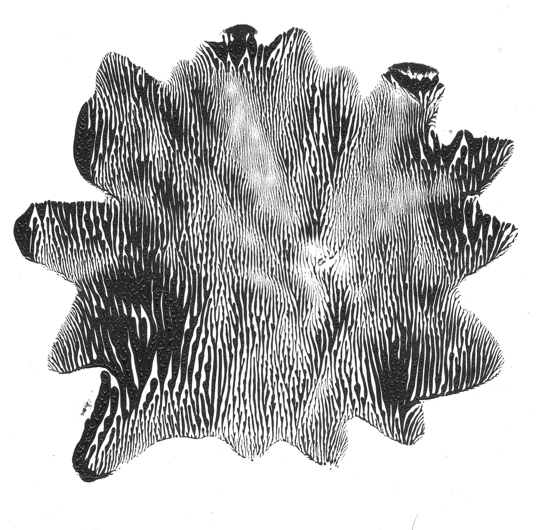 Abstract_2_3_20250202.jpg