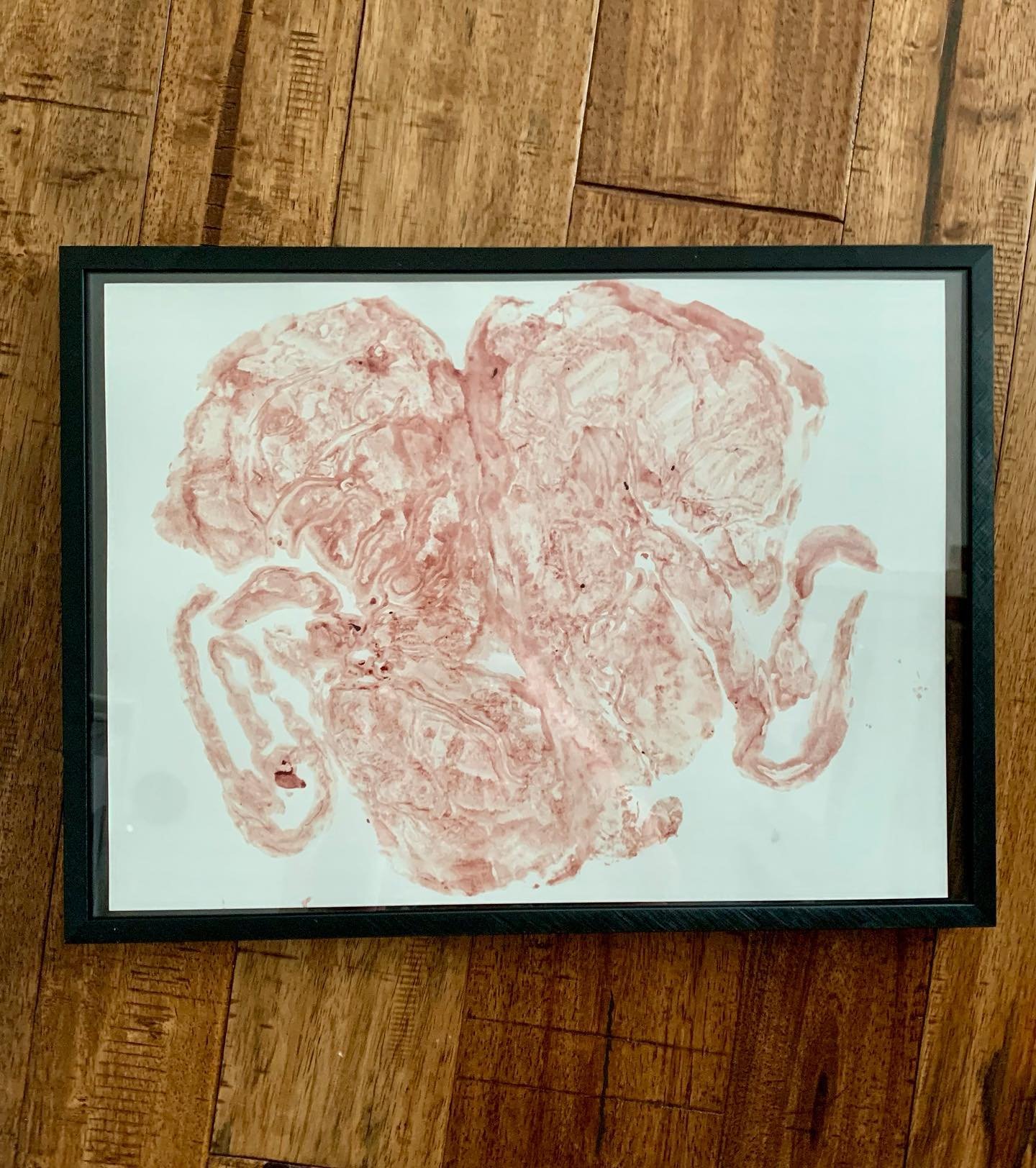 What an honor to encapsulate the twin placentas and get to make and frame a print for a sweet mama! The placentas were fused together and created a beautiful heart shape! 
#placenta #placentaencapsulation #placentaspecialist #twins #doula #birthdoula