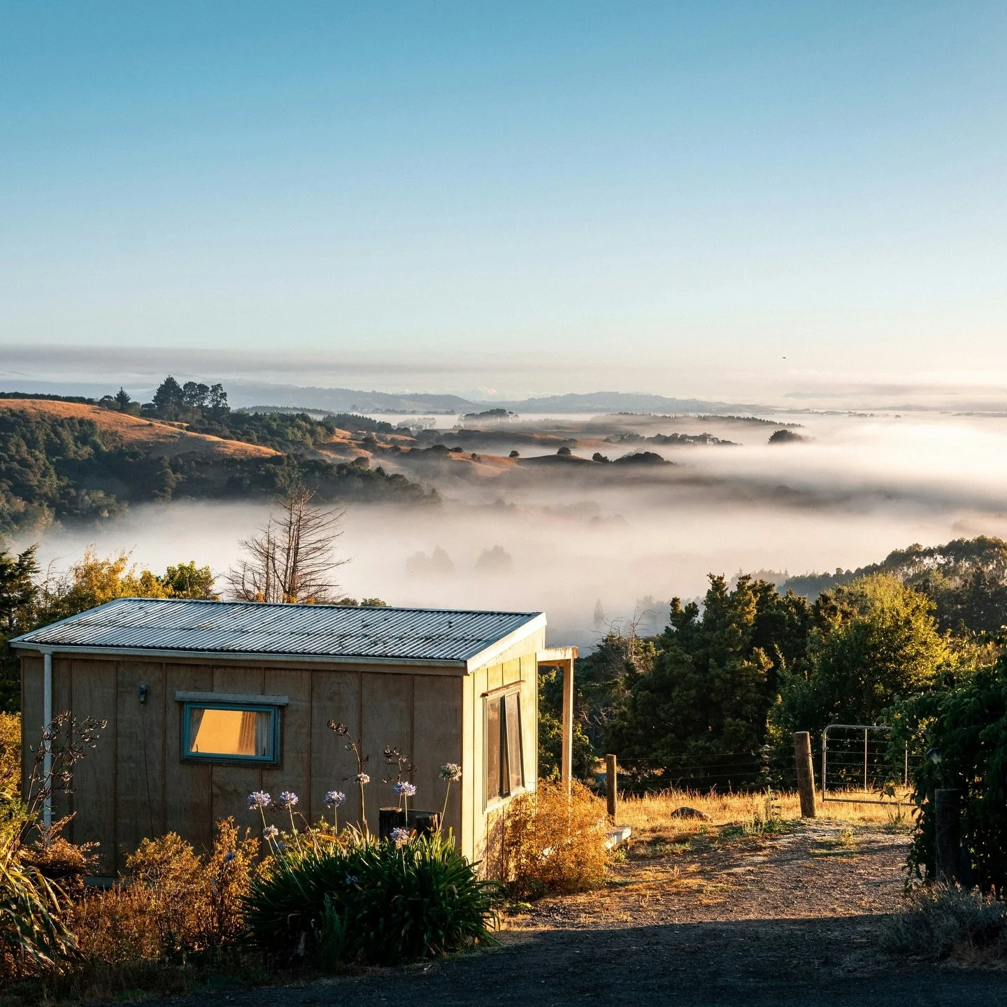 Home loans aren&rsquo;t one-size-fits-all and knowing your options can make a huge difference to your long-term financial freedom. 

These are the five types of home loans you&rsquo;ll come across:
- Fixed: Locked-in rate for certainty
- Floating: Fl