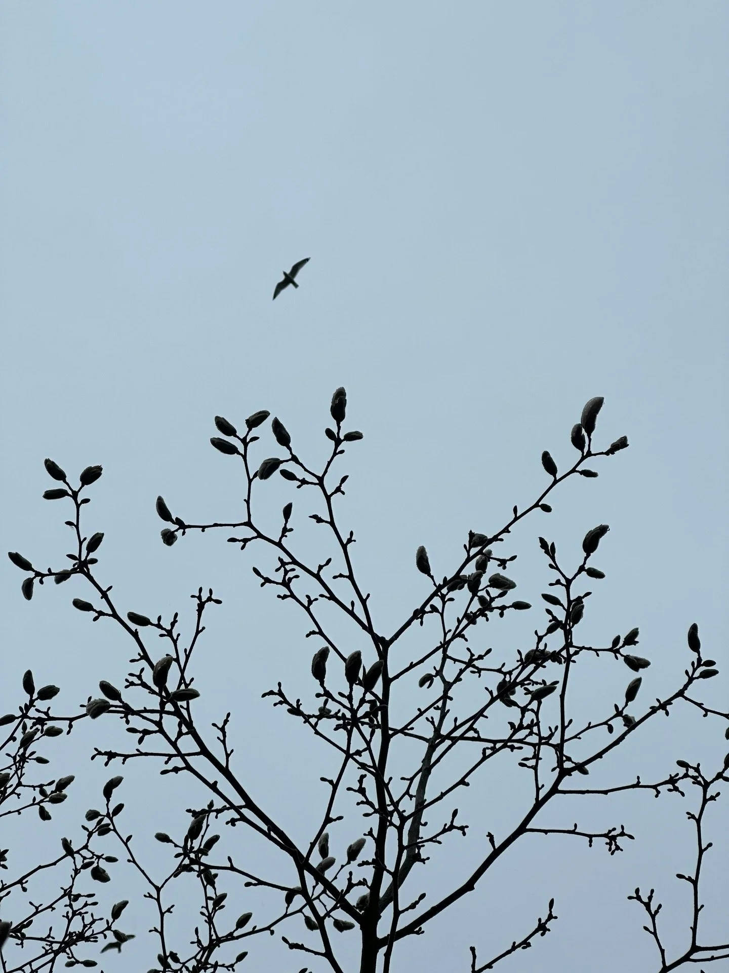 The day you&rsquo;ve equally awaited and dreaded has arrived&hellip; the kids have finally flown the nest, so what next?

When the kids move out, a few things often change:
&bull; Your financial dependents may reduce
&bull; Your income priorities shi
