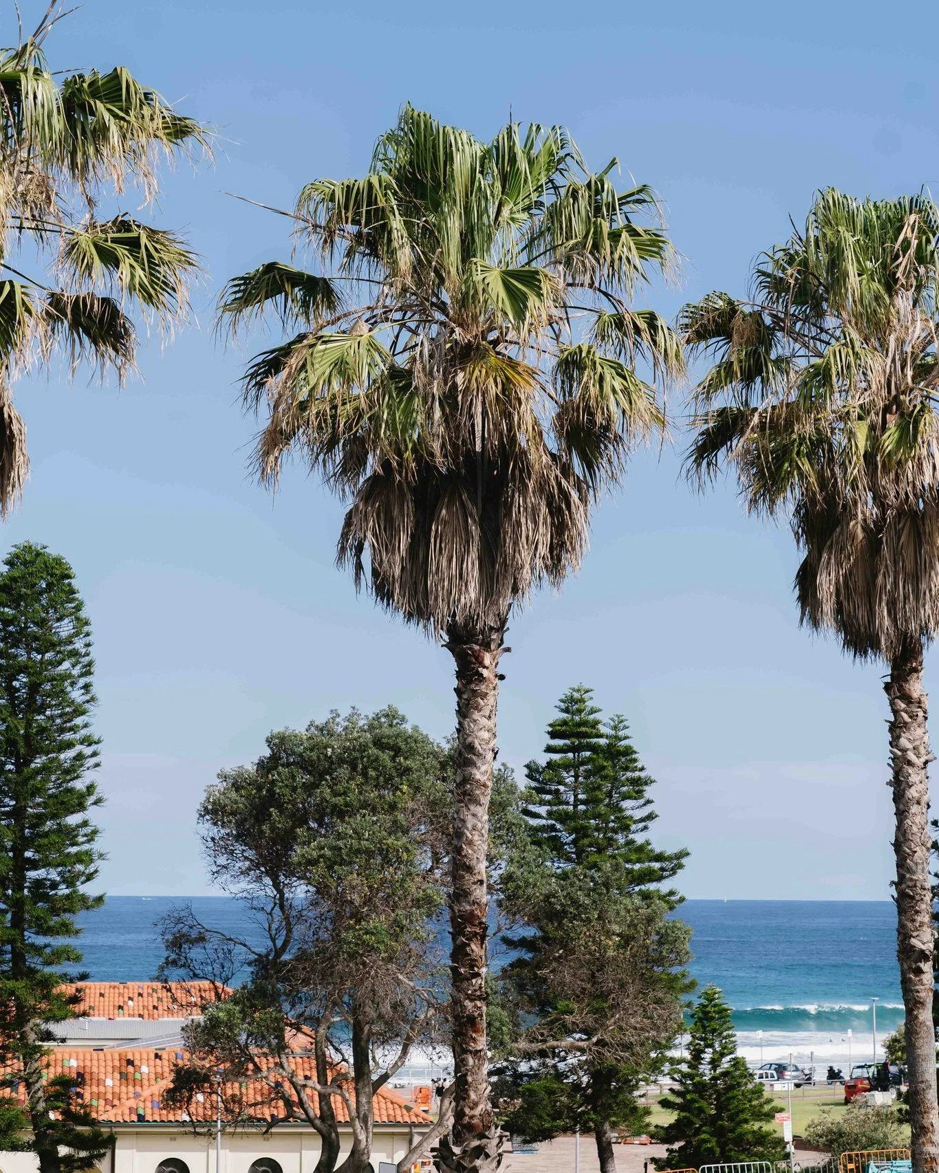 HAPPY HOUR 🍹☀️ 

Sip $8 wines &amp; beers, or $10 spritz &amp; margaritas with Bondi views!

Daily from 5&ndash;6pm &amp; 9pm&ndash;close, the perfect golden hour by the beach...

.
.
.
#ChinaDiner #HappyHour #BondiBeach #SydneyEats #BondiFoodie #Co