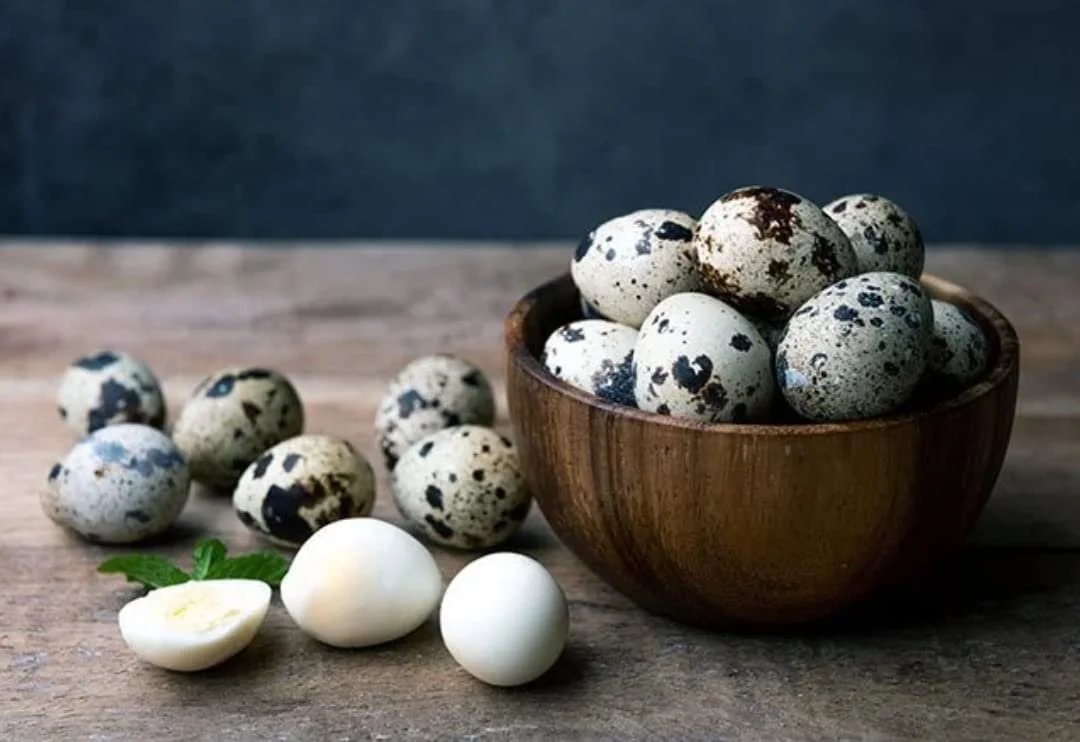Quail Eggs from Bluefield, Virginia