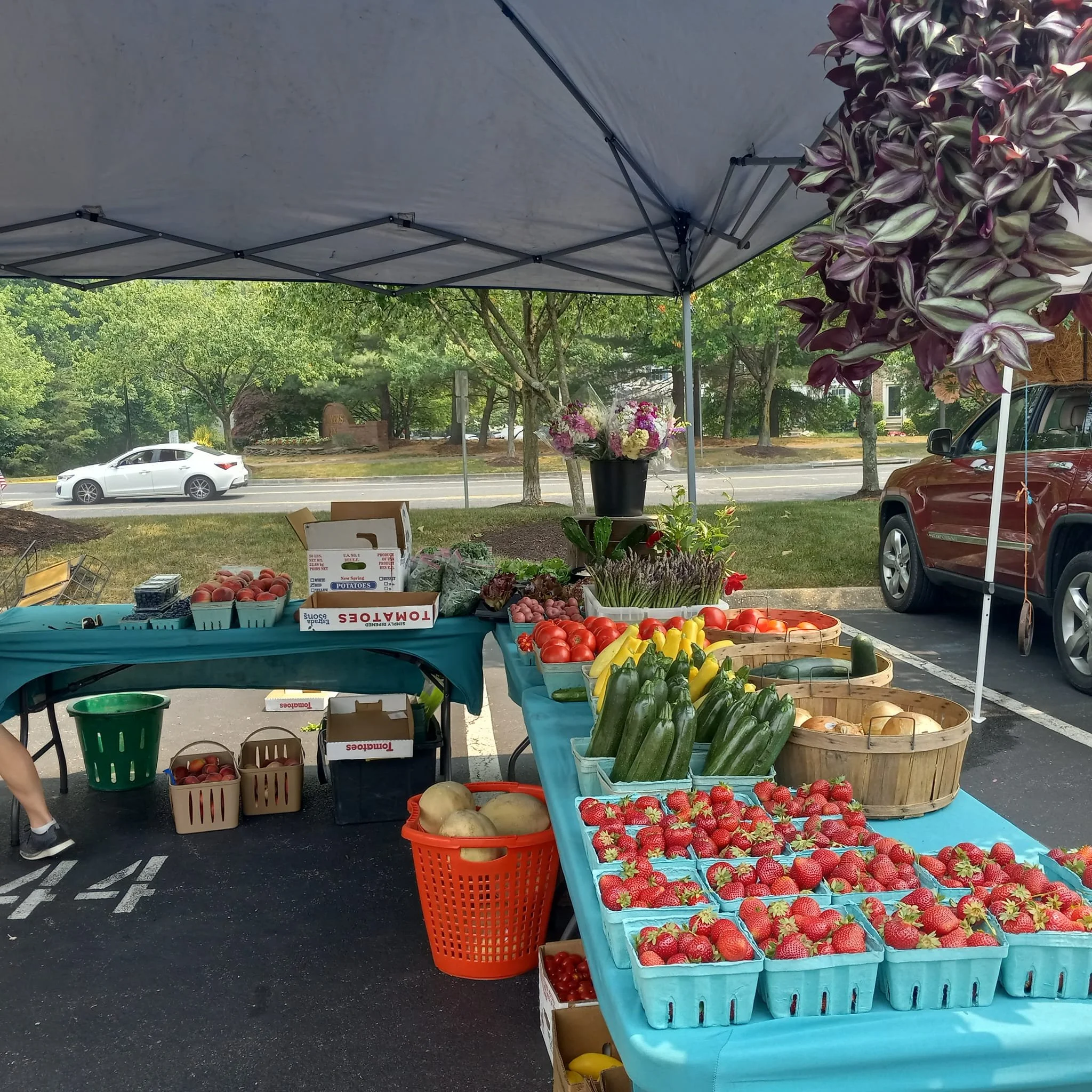 Piney Orchard Farmers' Market in Odenton, Maryland