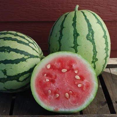 Watermelon