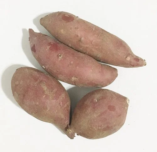Sweet Potato