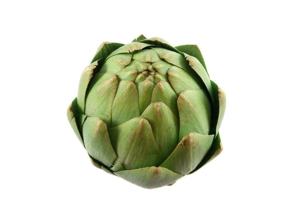 Artichoke