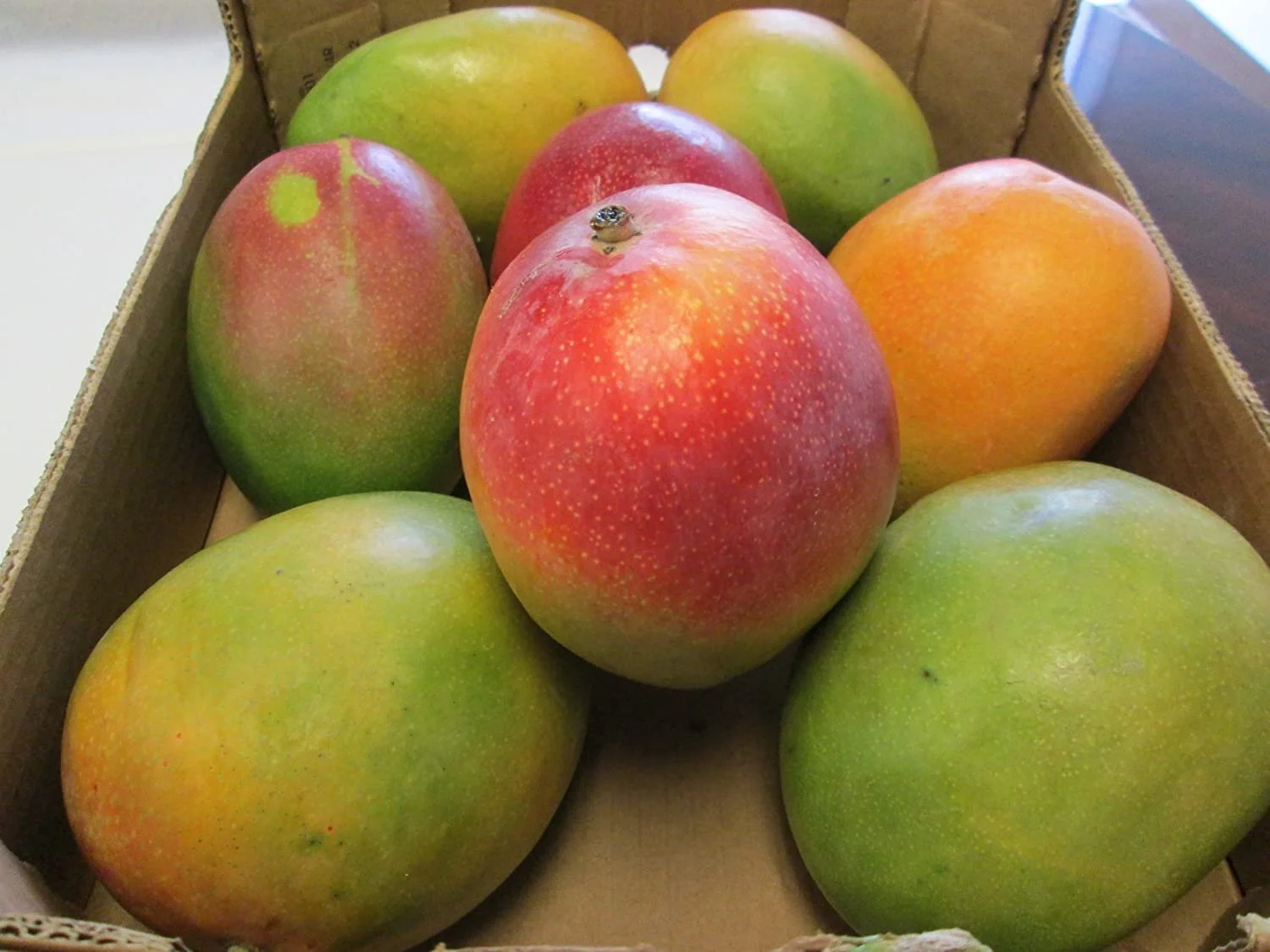 In Season
