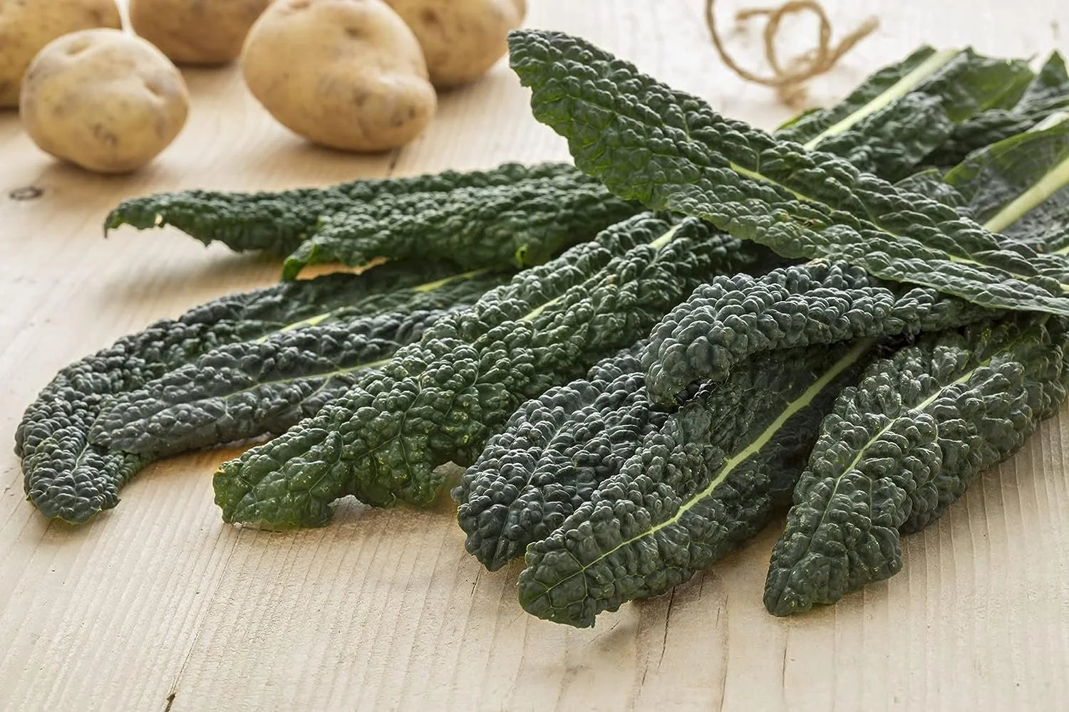 Farmer's Market Online® Guide to Kale