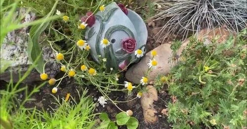 Early July Home Garden Tour