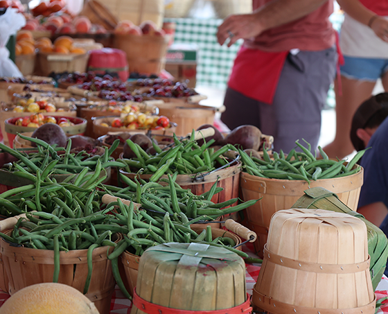 Windsor Farmers Market in Windsor, Colorado