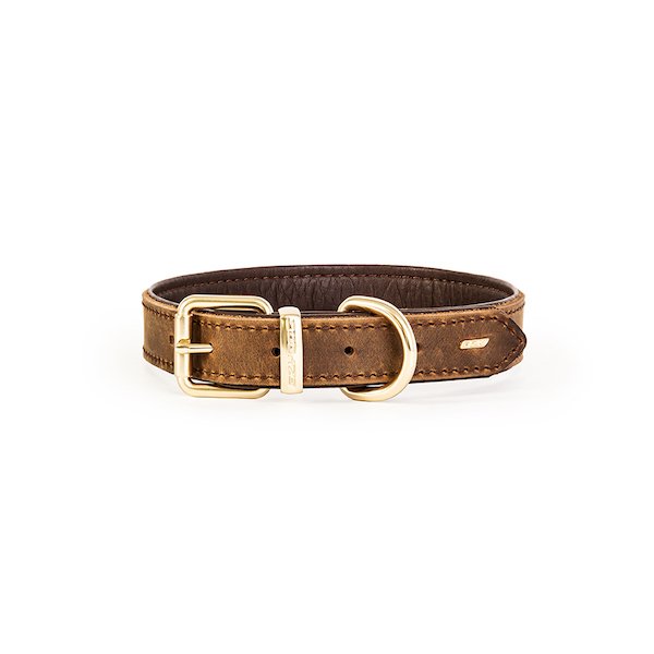 Oxford Leather Classic Pet Collar