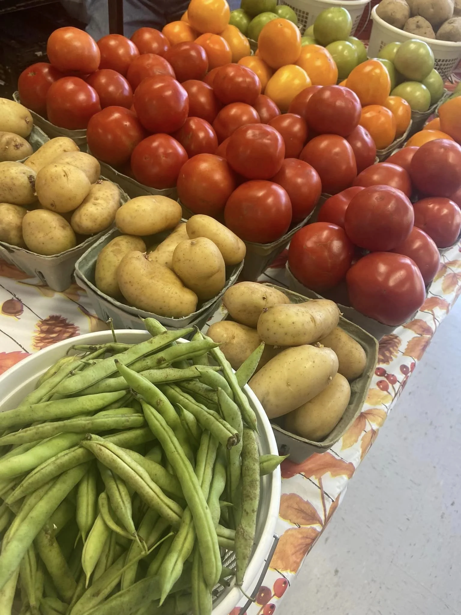Locally Made Farmers Market in Beattyville, Kentucky