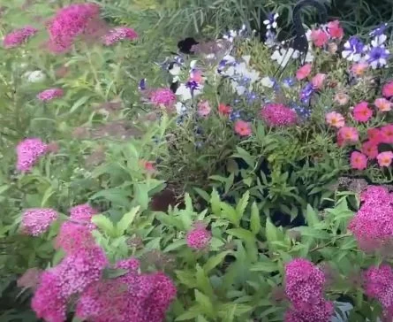 Summer Solstice Garden Tour 2023