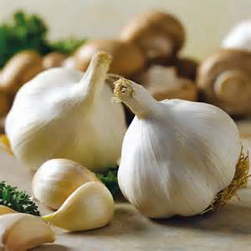 Farmer's Market Online® Guide to Garlic