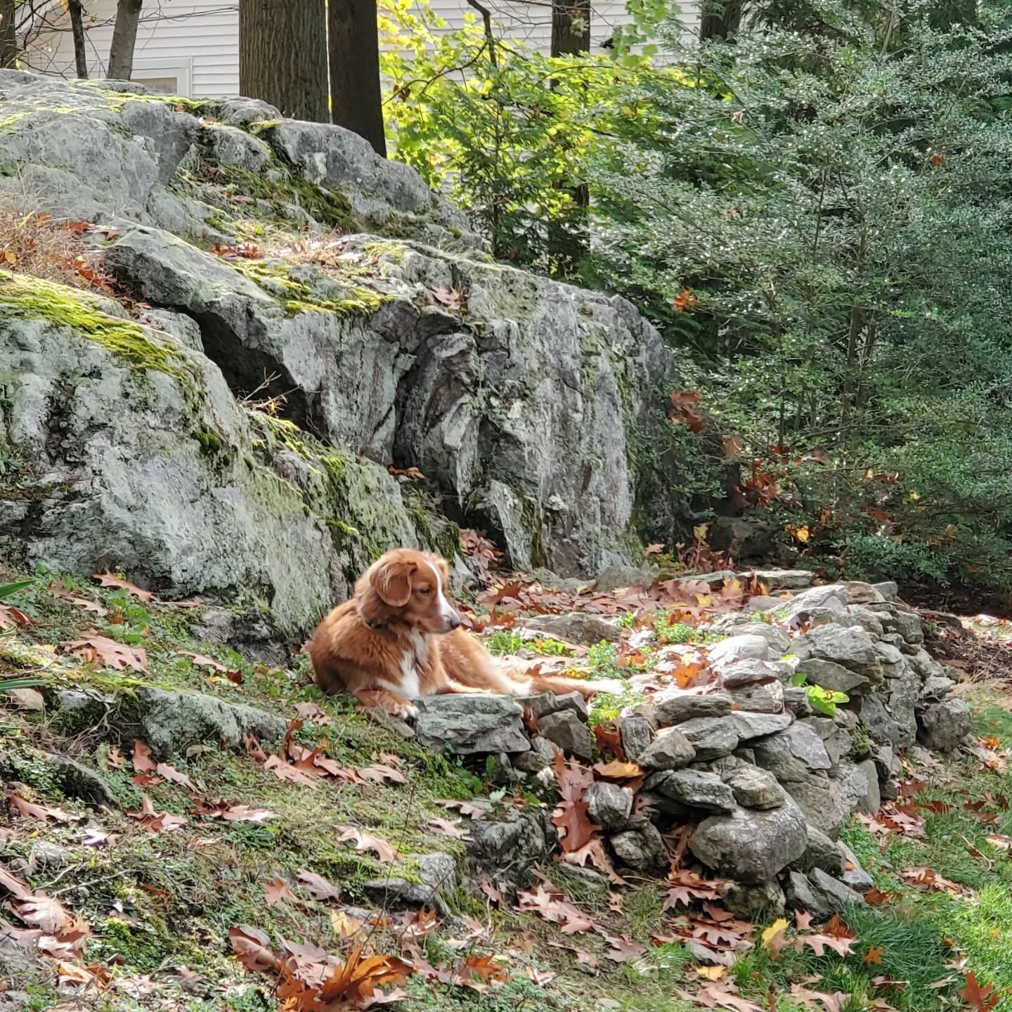 The research assistant channels her inner wolf.