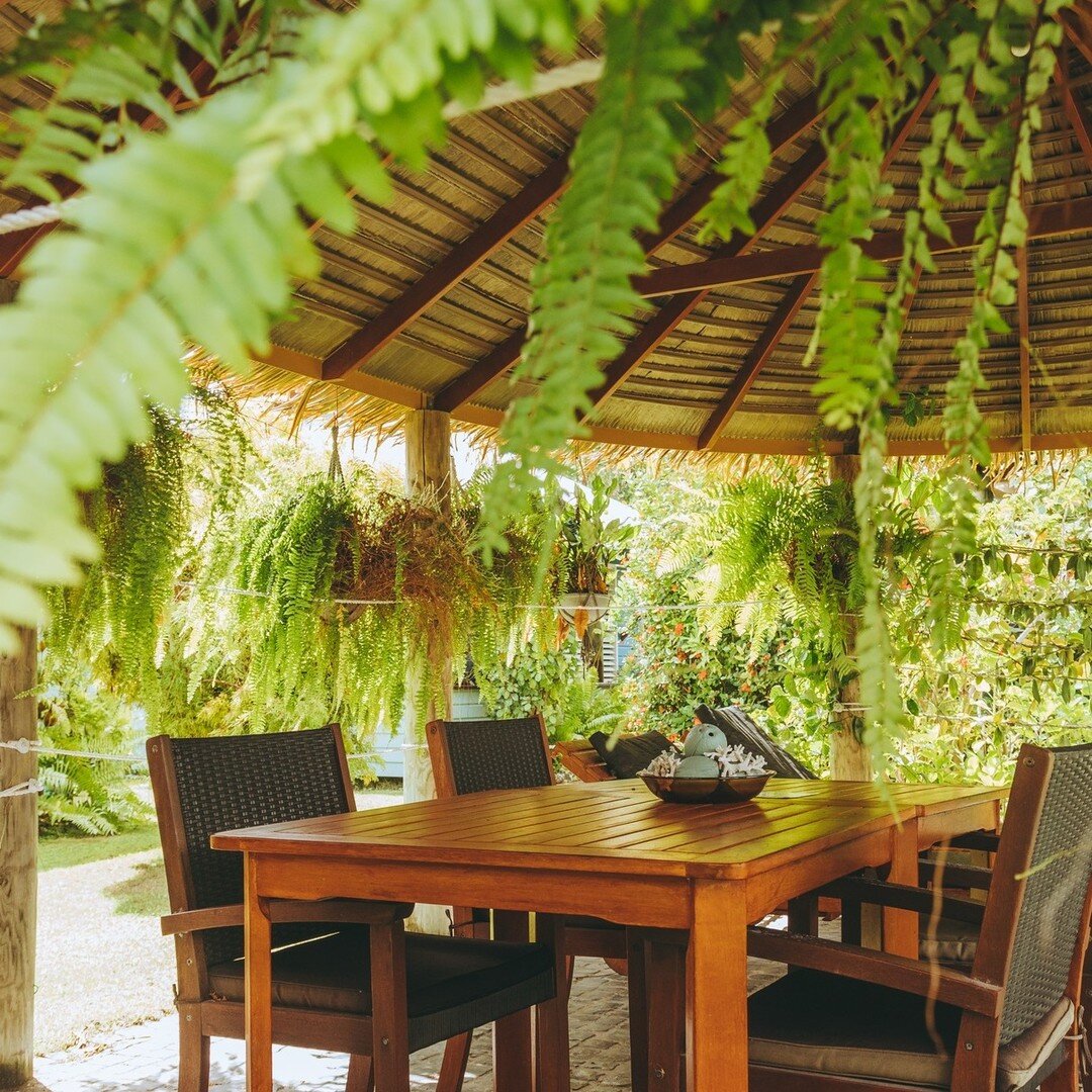 Lush 🌿

 #cocoskeelingislands #thebreakerscocos #tropics #islandtravel #escape #nature #plants #relax