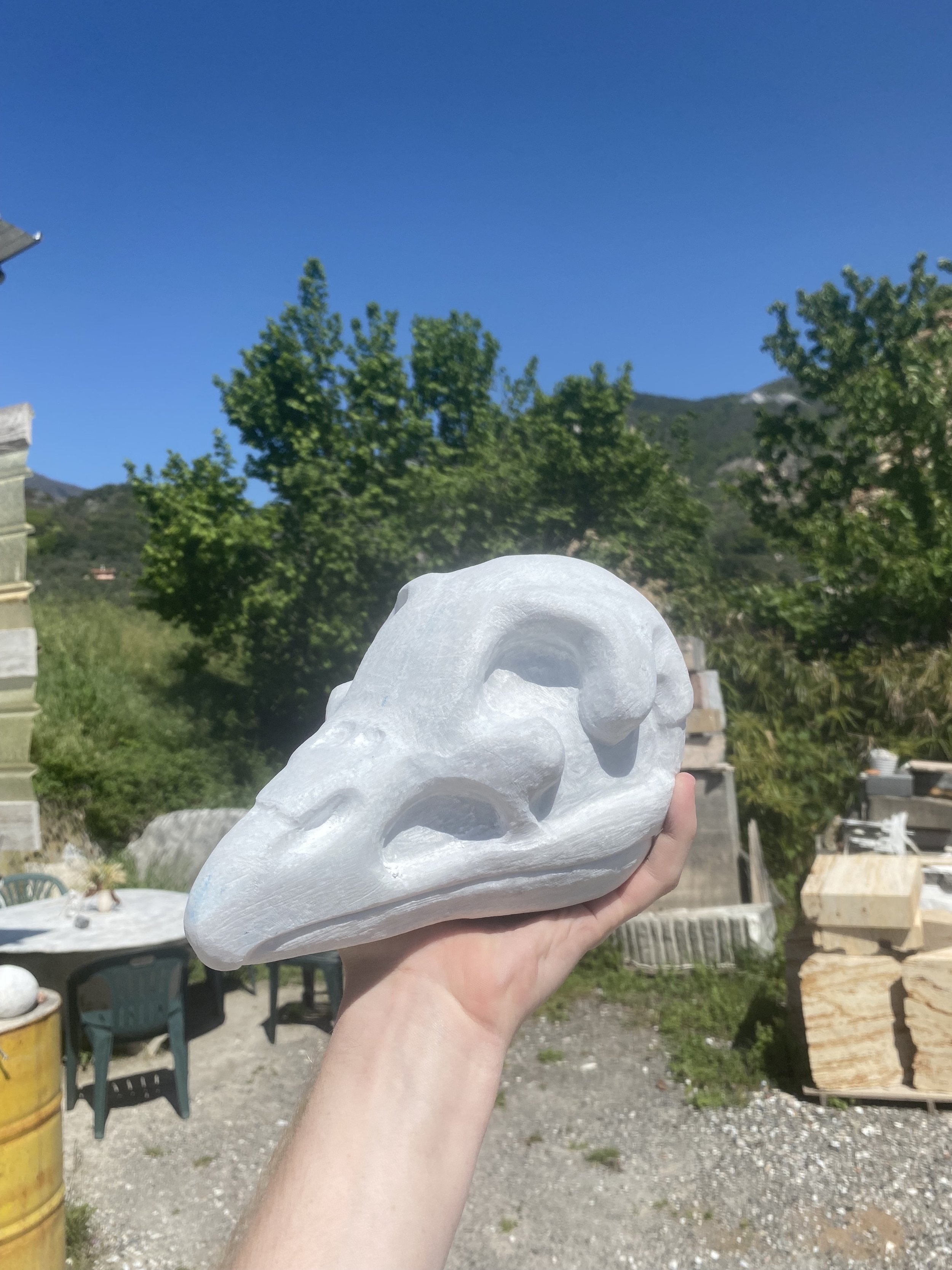 Bird Skull progress (2022)