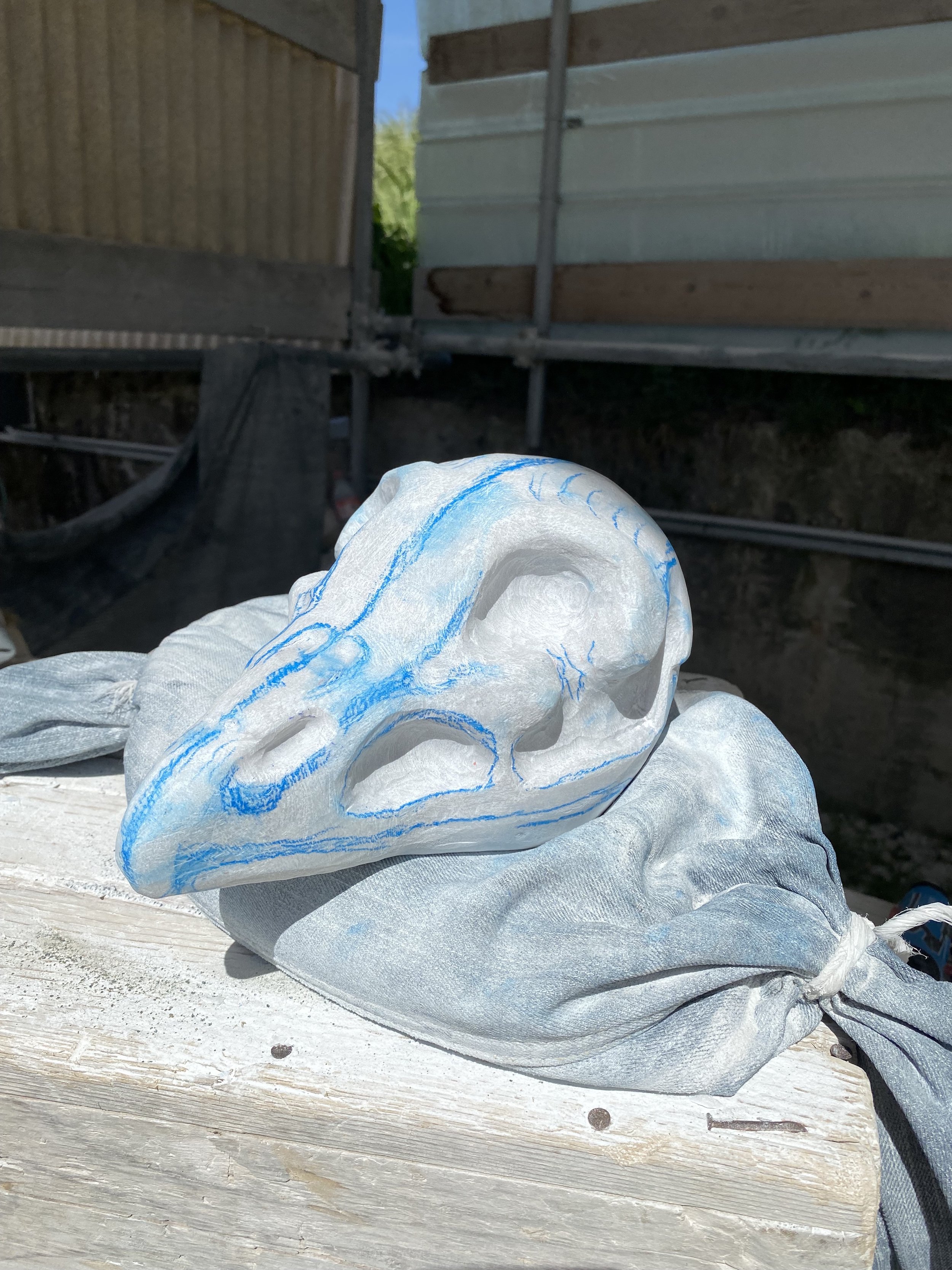Carrara Bird Skull (2022)