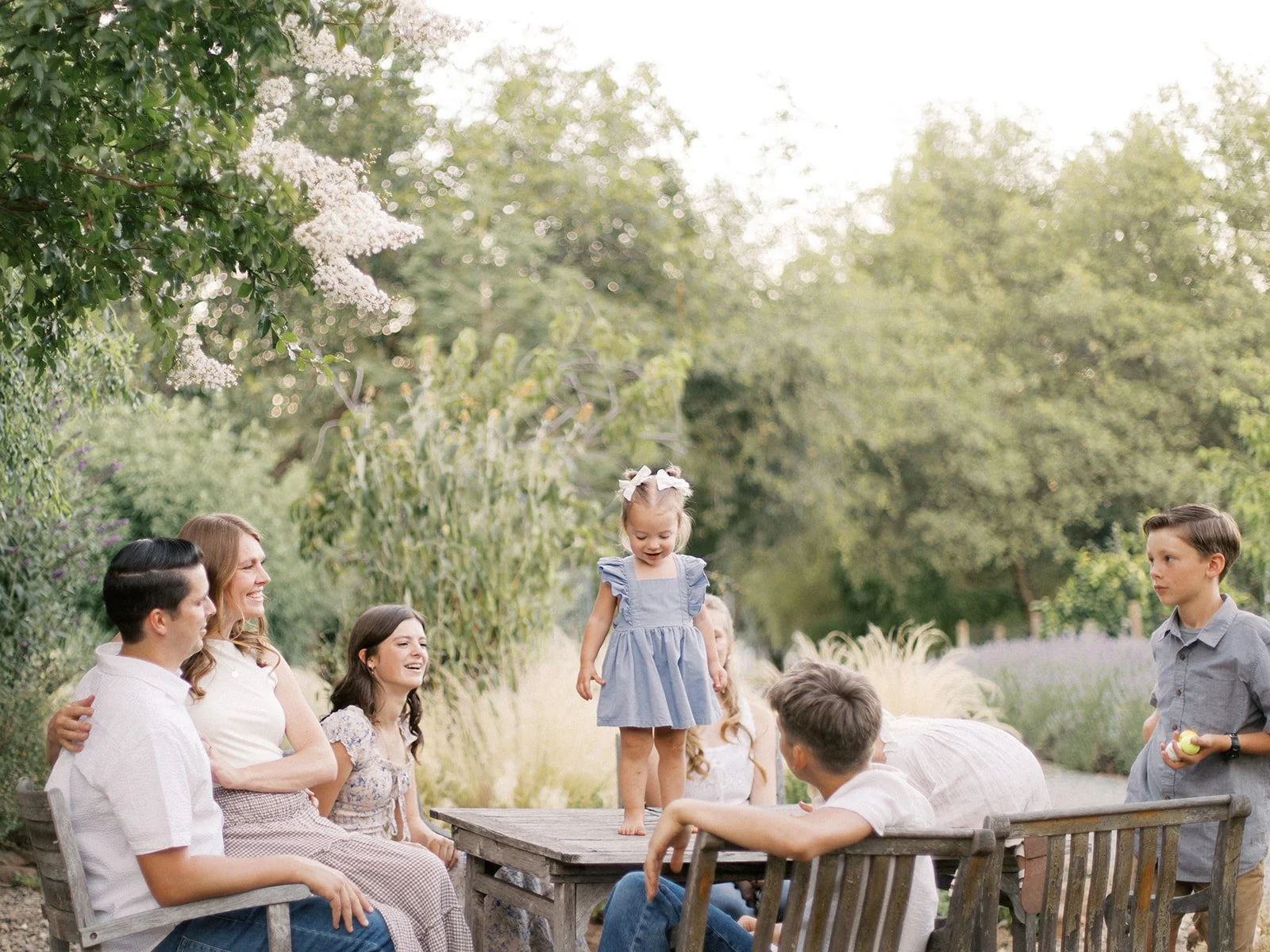Lavender Field Family Photoshoot