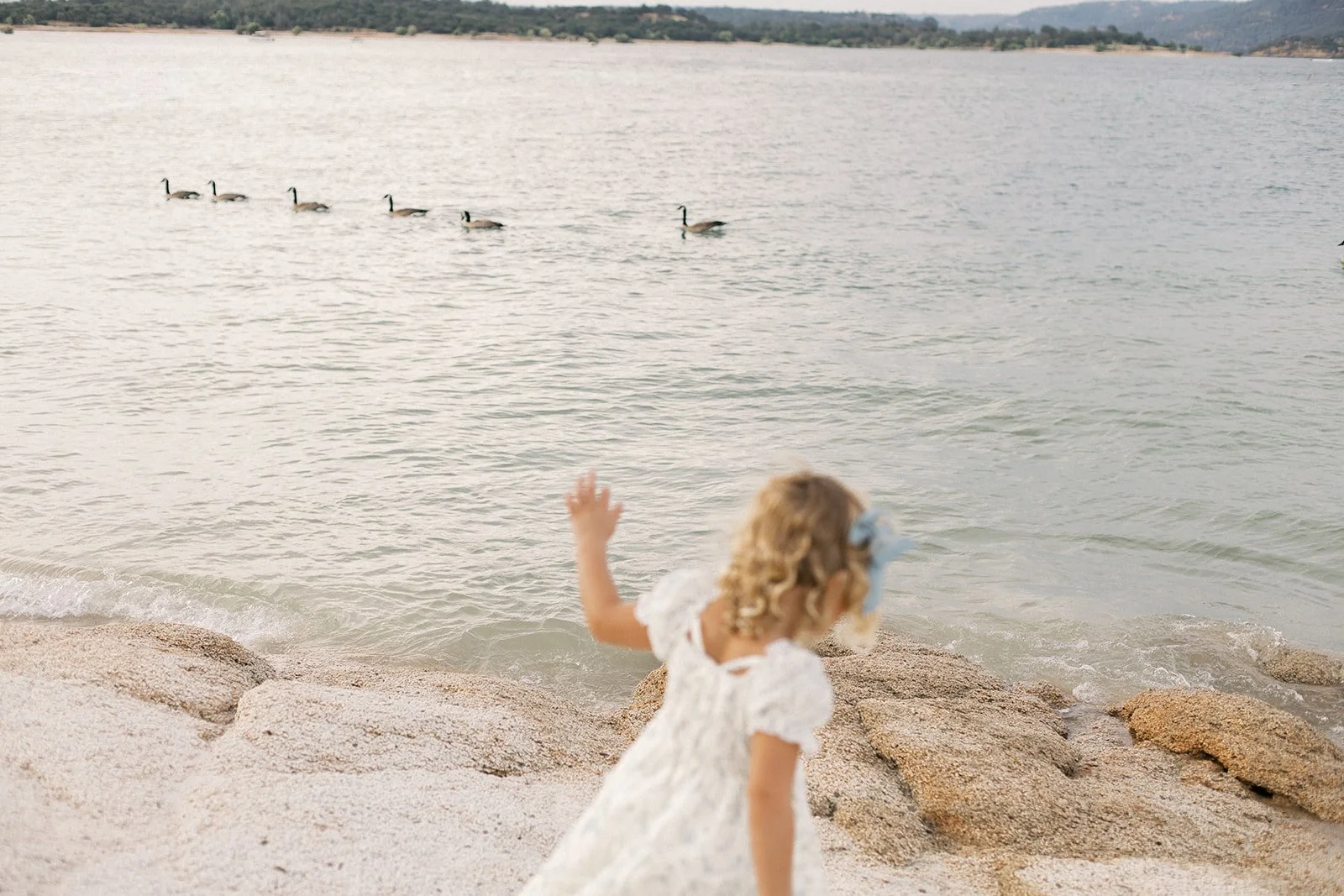 an evening by the lake