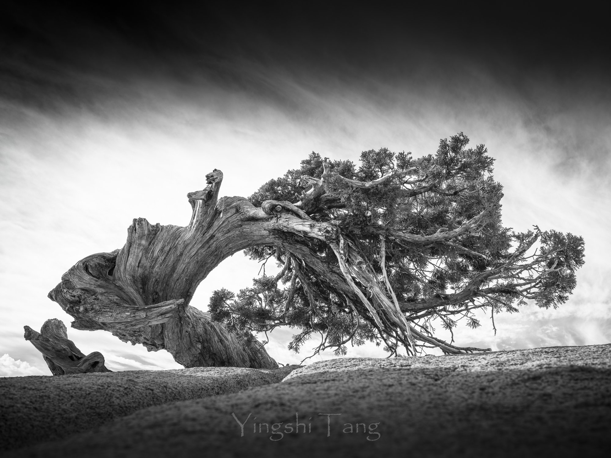 2023-11-04 Yosemite-45-Edit-Edit-1.jpg