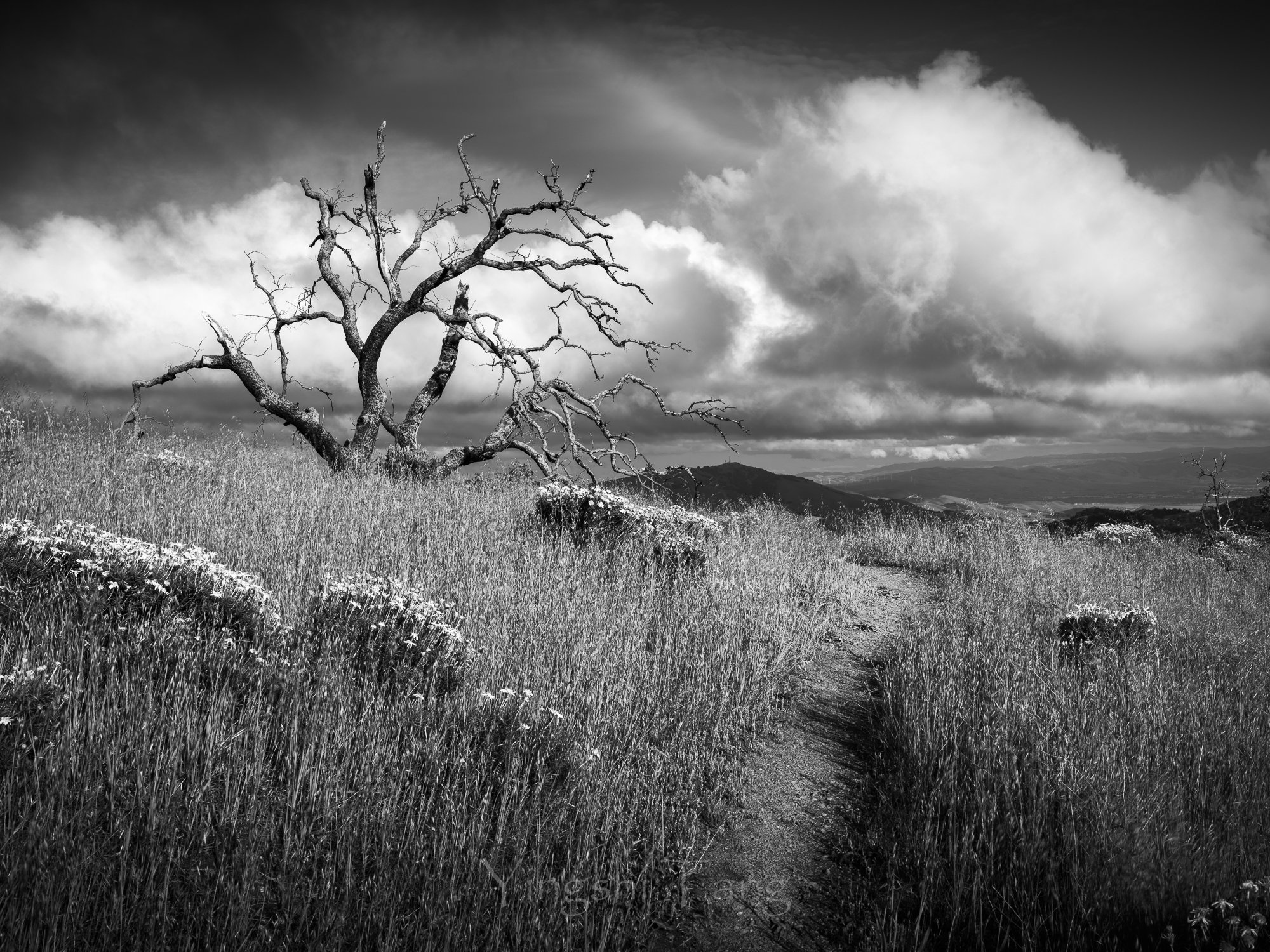 Trail #1