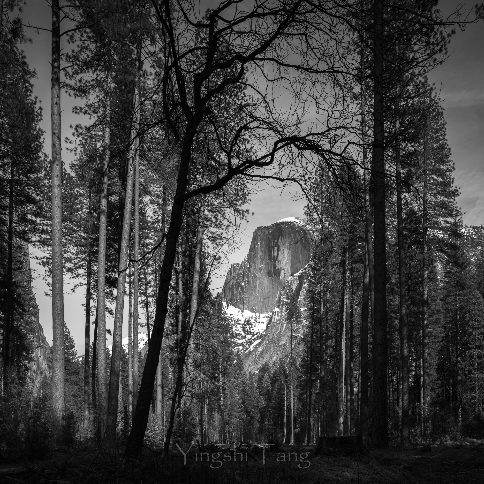 2024-03-09 Yosemite-110-Edit-2.jpg