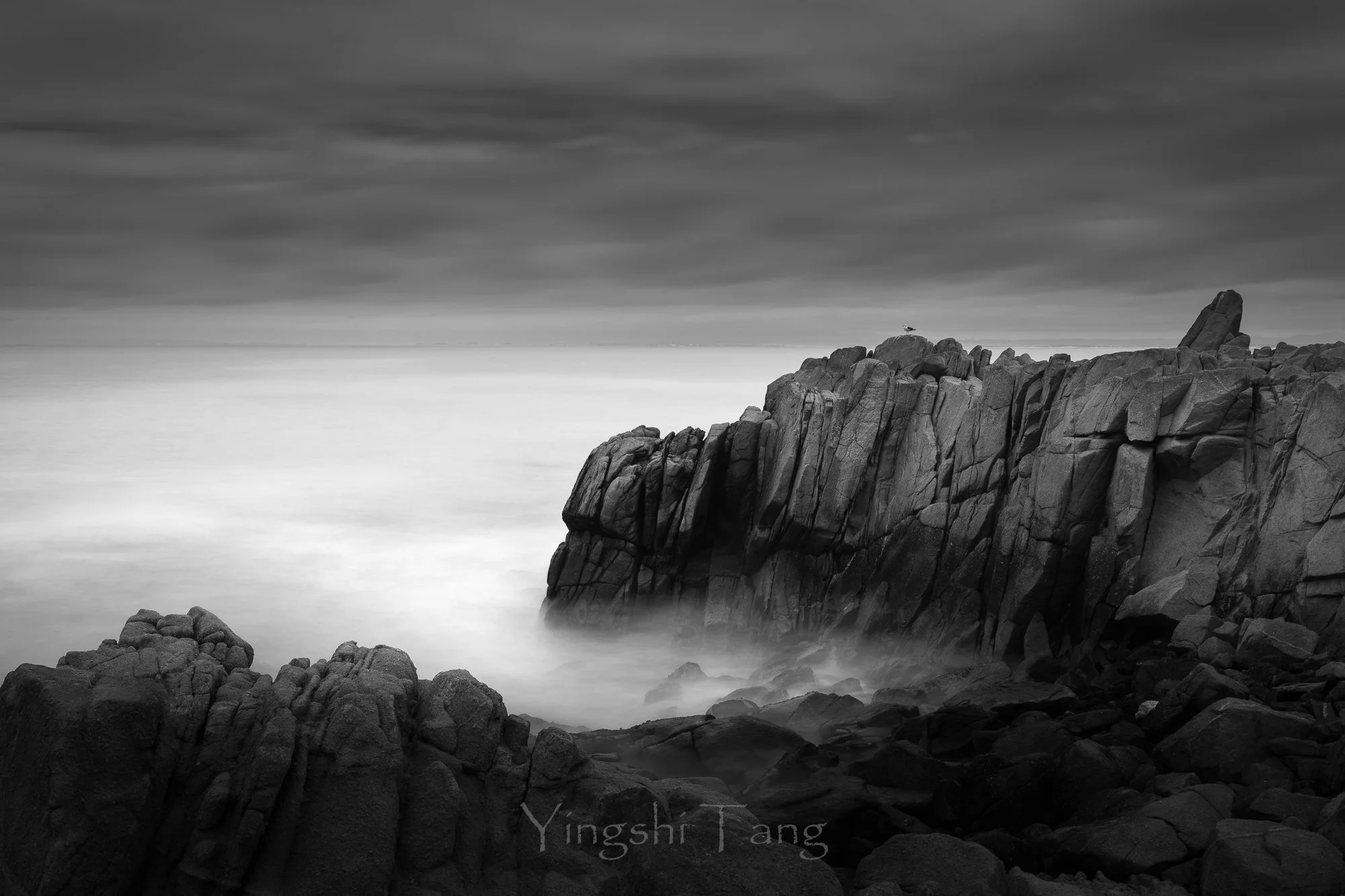 2025-03-01 Monterey Bay-61-Edit-Edit-Edit-2.jpg