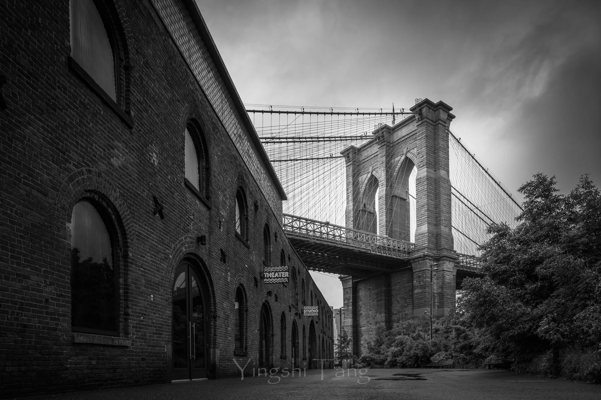 2025-05-11 NY-579-Edit-2-2.jpg