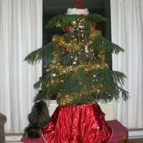 Lana Hood (Beausejour, MB)