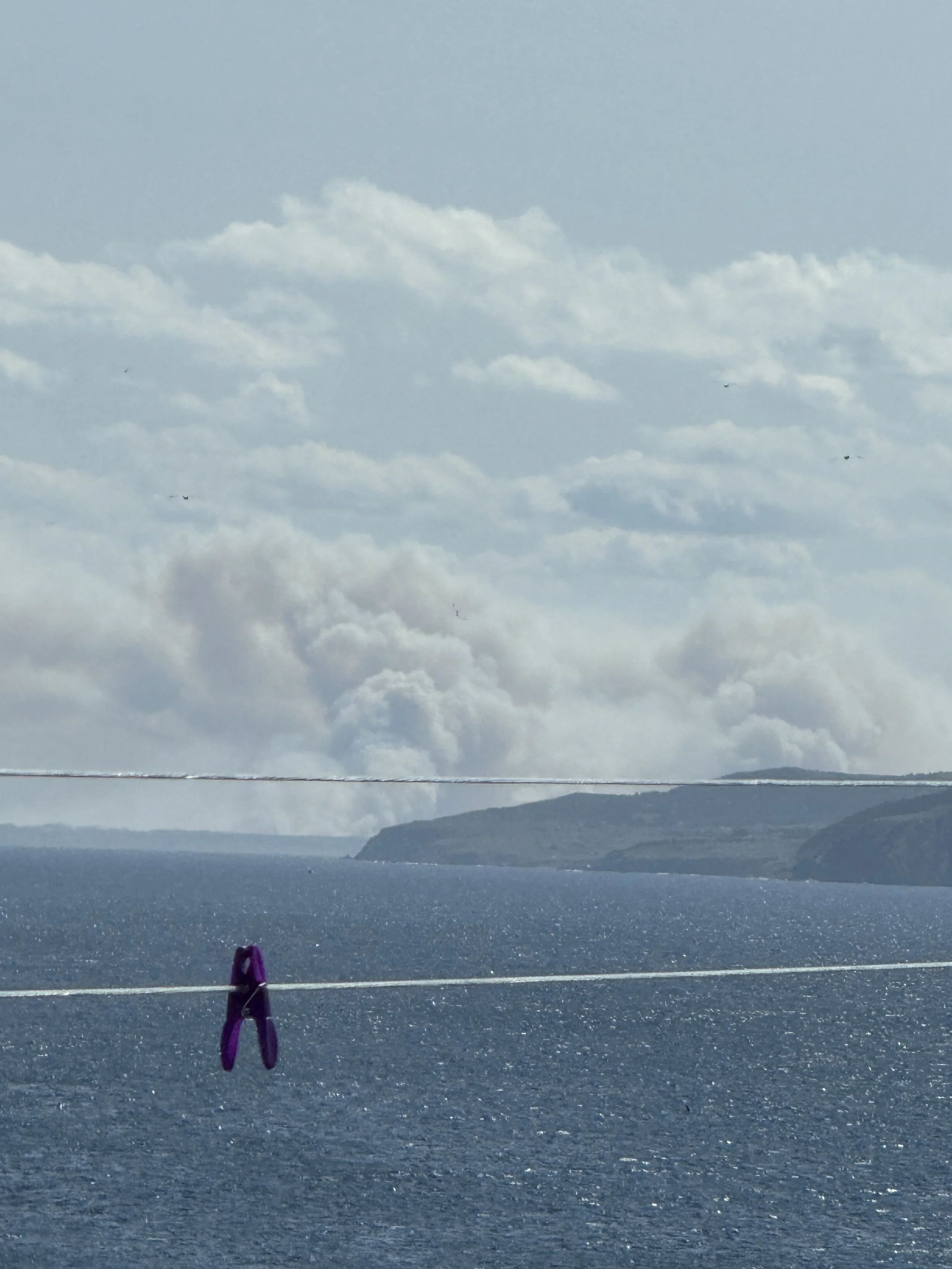 Carson Loveless (Bay de Verde, NL)