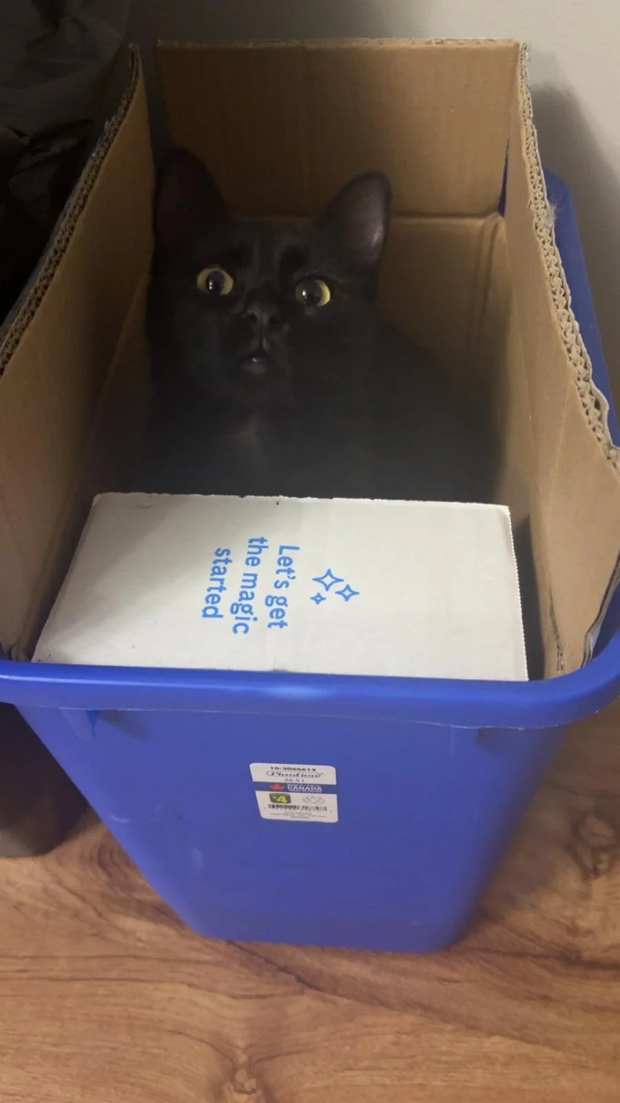 WhatsApp Image 2025-11-17 at 2.29.45 PM.jpeg