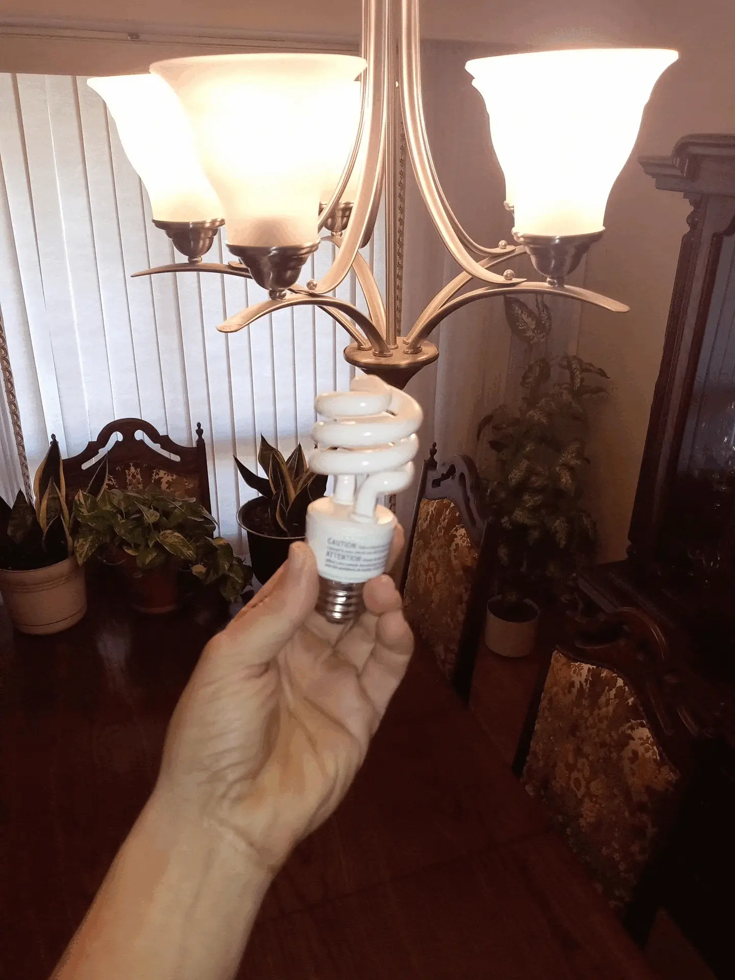 Jeff Camilo (Hamilton, ON)