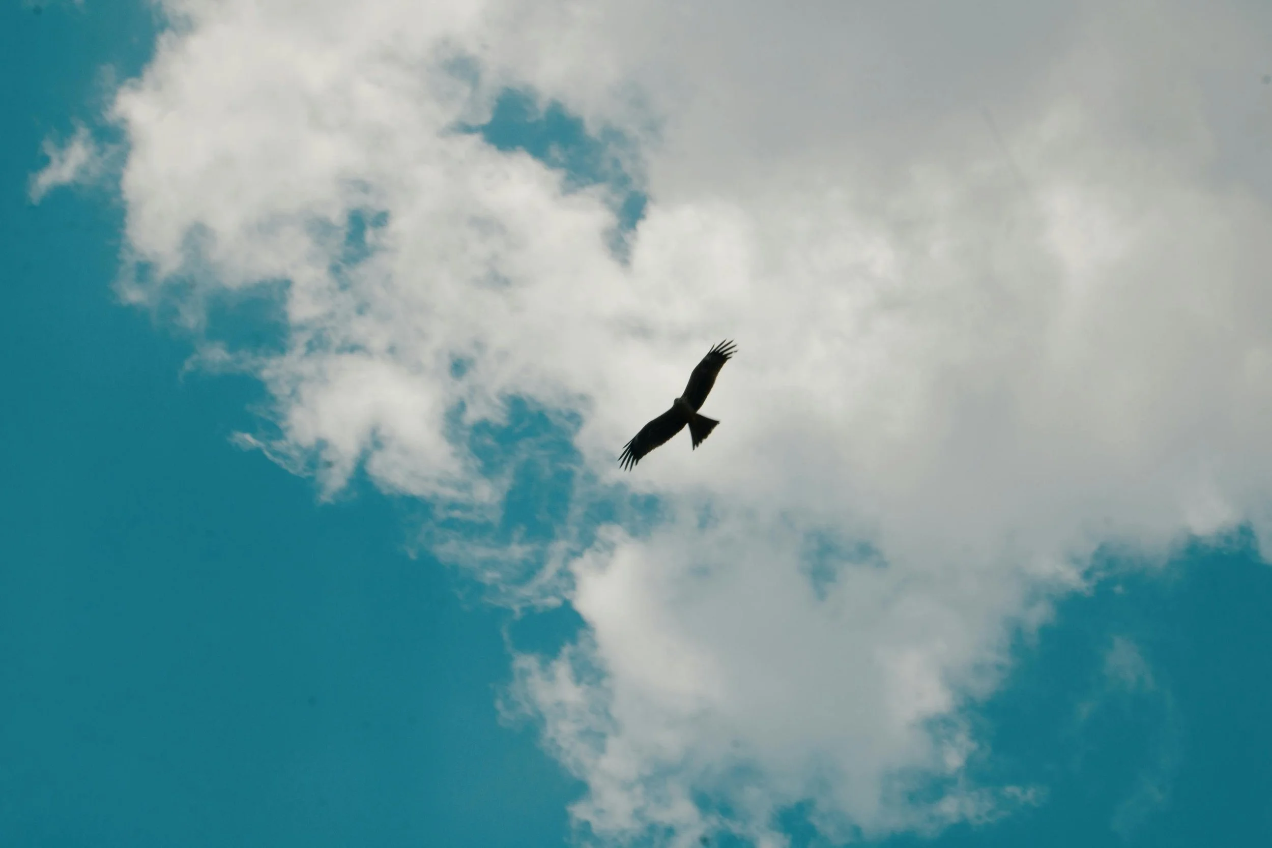 What LEAD Really Means: More Than GPA, More Than Stats, More Than a Trophy