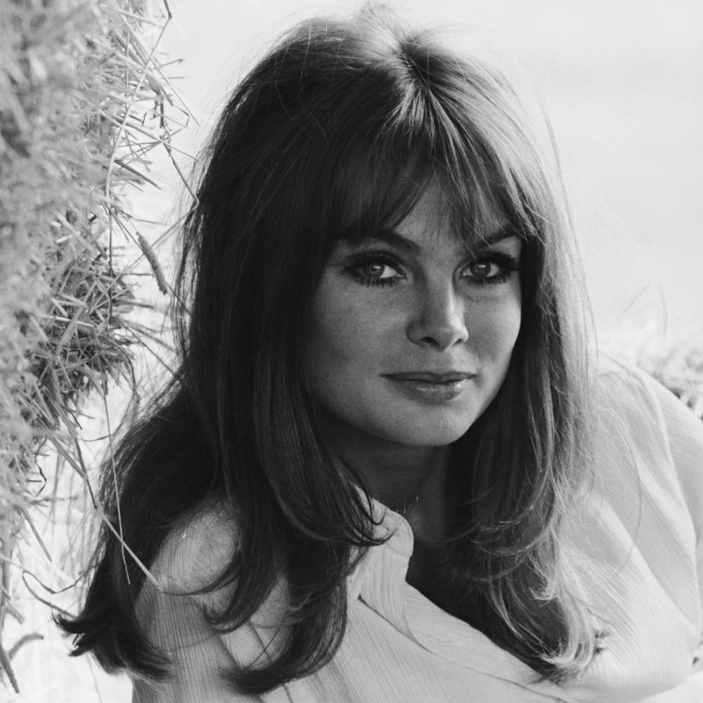 Jean Shrimpton Bombshell Blowout