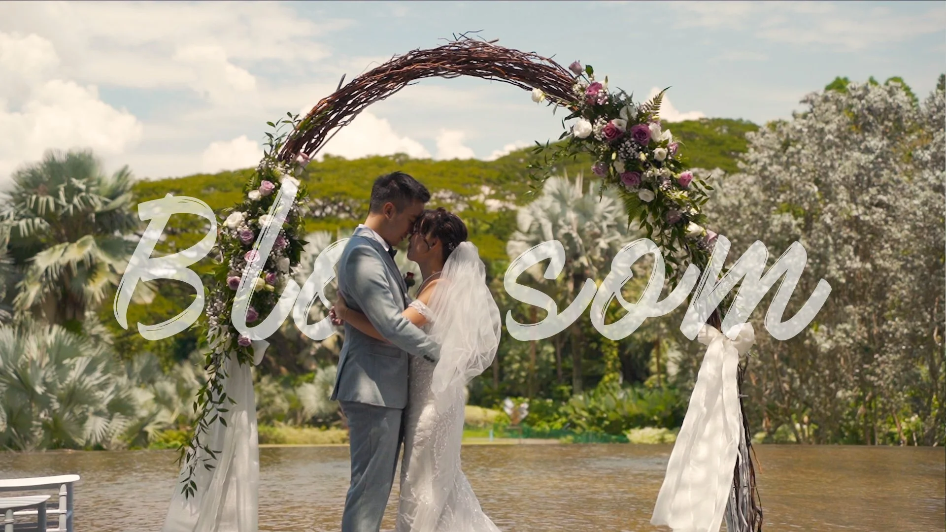 Youtube Cover_Blossom.jpg