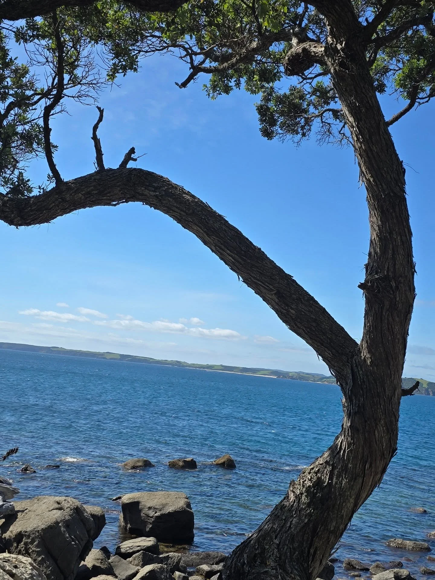 New Year Reflections ✨️ 

I always find the transition from one calender year to the next wobbly.. what did i learn, what should I strive for, who am I now.. what awareness can I gleam from another year... 🤔 

How do you process the start of a year?