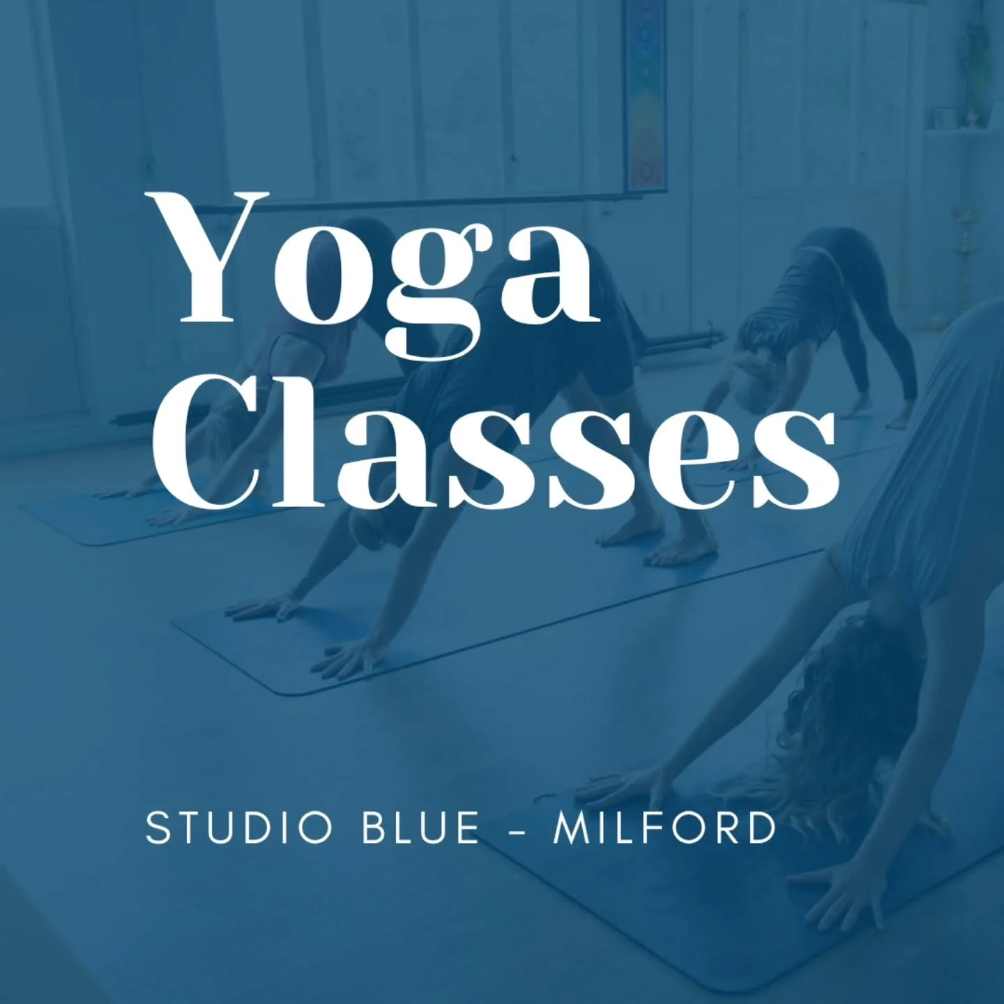 MILFORD YOGA CLASSES 🧘🏽&zwj;♀️ 

Once Hōm closes her doors, I will be teaching a weekly class at @studiobluenz 

Join me for the 7 weeks leading into Christmas to explore the foundations of yoga asana ✨️ 

....and if you're up for it, coffee afterw