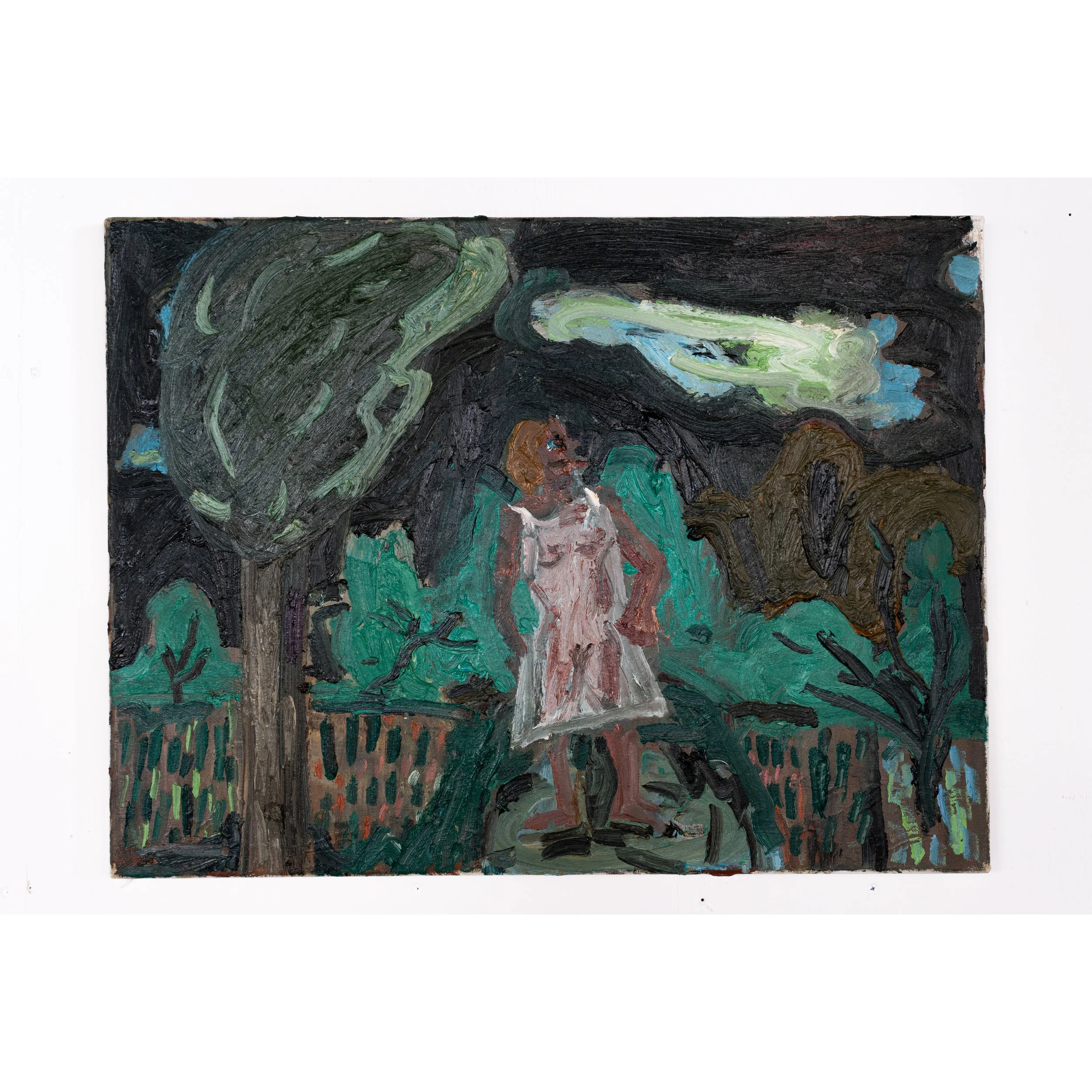 Dan Schein  - Dark Garden, 2022